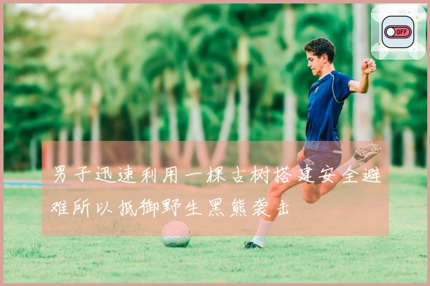 男子迅速利用一棵古树搭建安全避难所以抵御野生黑熊袭击