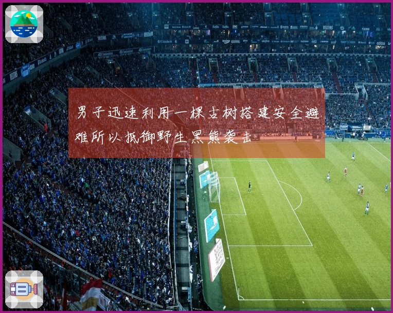 男子迅速利用一棵古树搭建安全避难所以抵御野生黑熊袭击