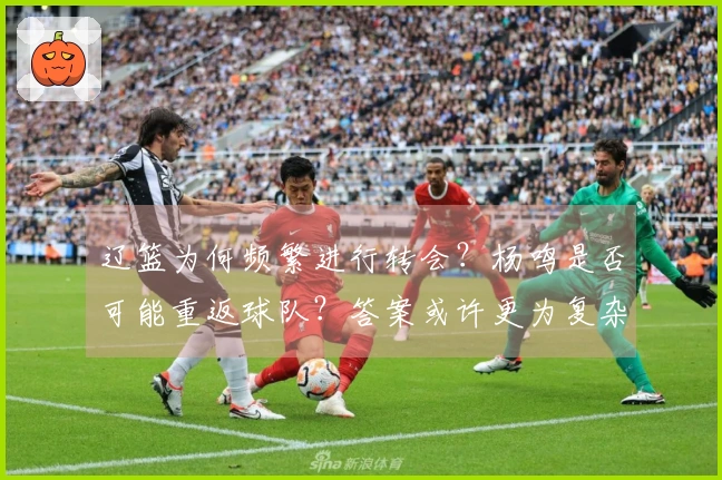 辽篮为何频繁进行转会？杨鸣是否可能重返球队？答案或许更为复杂！