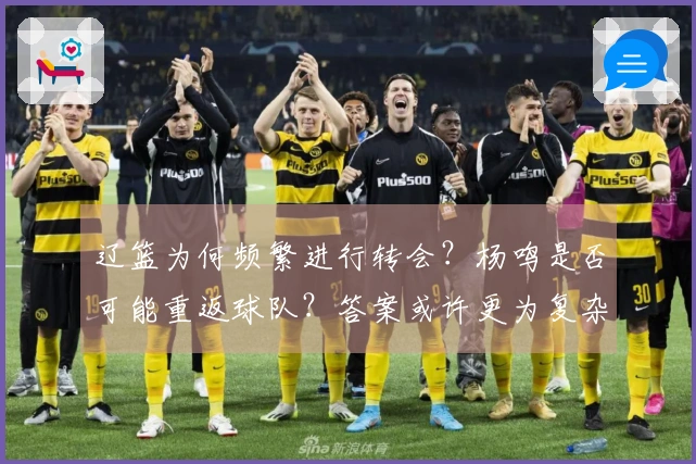 辽篮为何频繁进行转会？杨鸣是否可能重返球队？答案或许更为复杂！