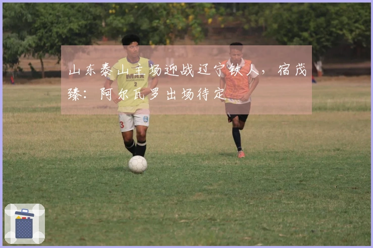 山东泰山主场迎战辽宁铁人，宿茂臻：阿尔瓦罗出场待定