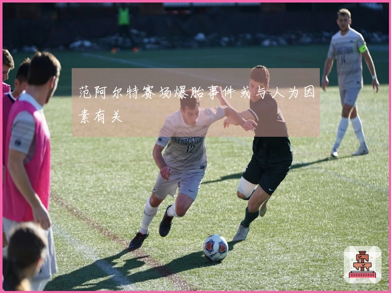 范阿尔特赛场爆胎事件或与人为因素有关